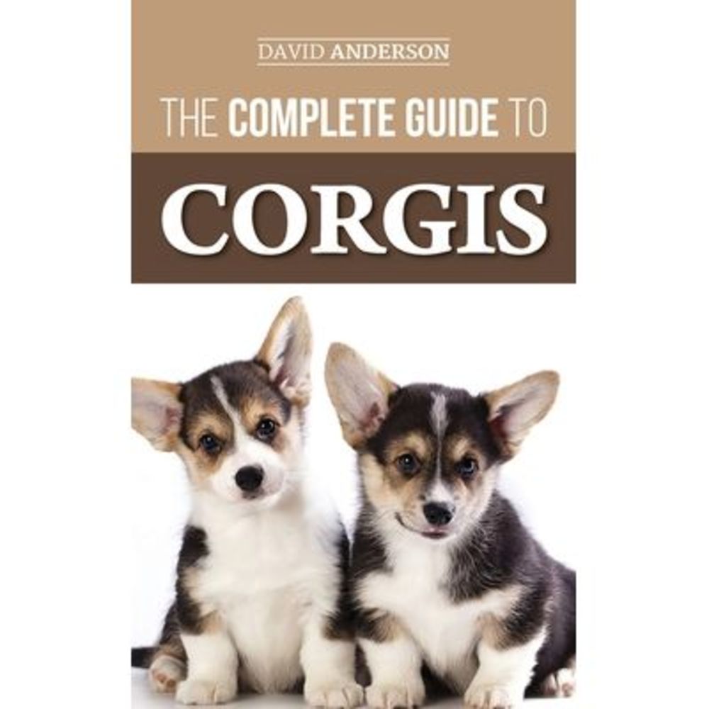 The Complete Guide to Corgis: Everything to Know About Both the Pembroke Welsh a